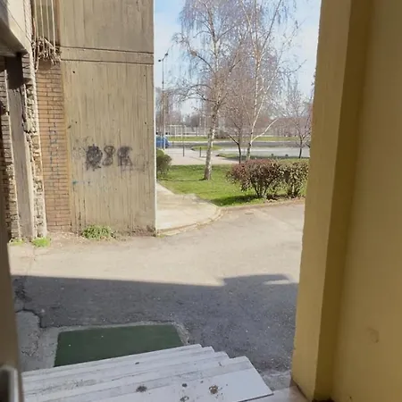 Niki Kej * Novi Sad